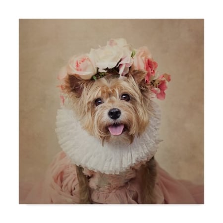 Trademark Fine Art Tammy Swarek 'Cricket Dog' Canvas Art, 18x18 1X07810-C1818GG